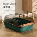 Retro green 