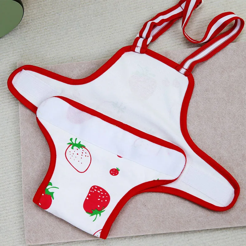 Physiological Pant For Cats Dog Reusable Female Diaper Sanitary Panties For Small Dogs Chiwawa Pet Menstruation Shorts Underwear