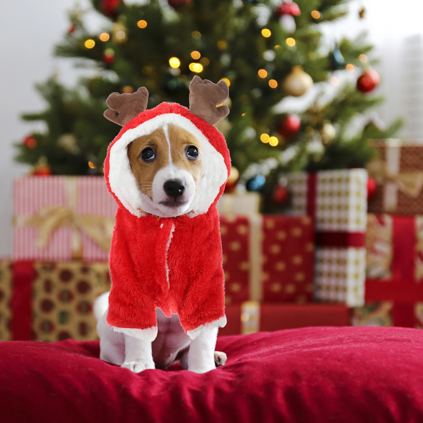 

Elk Costume For Dogs Cute Hoodie Warm Windproof Pet Clothing For Autumn Winter Christmas Party Cosplay Outfit