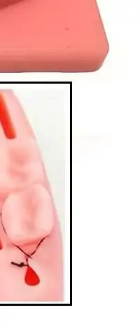 نموذج تدريب خياطة الأسنان مجموعة الممارسة الجراحية لعلكة الأسنان عن طريق الفم لإغلاق الجروح أدوات تعليم وتعليم طبيب الأسنان