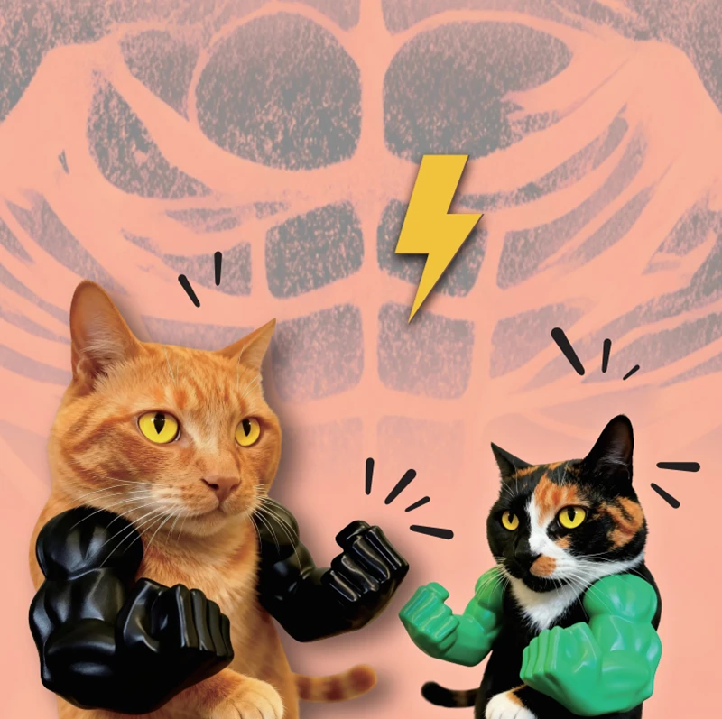 

2026 Лидер продаж, креативное силиконовое украшение для кошки-стереоскопическое мышечное подвесное мышцы руки на шее, забавный праздник, вечеринка, абстрактный реквизит для домашних животных