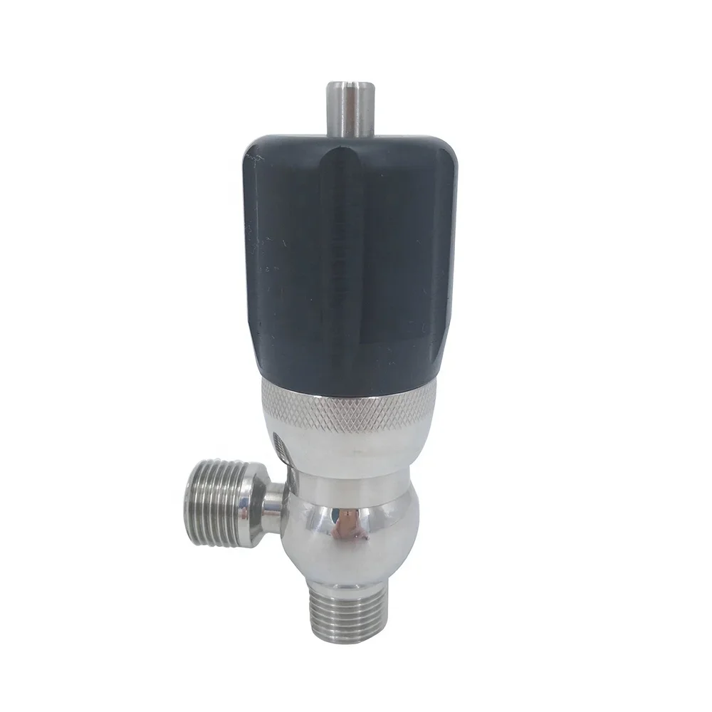 AISI 304 Sanitary Pressure Safety Relief Valve Stainless Steel BSP Thread Mini Safety Valve