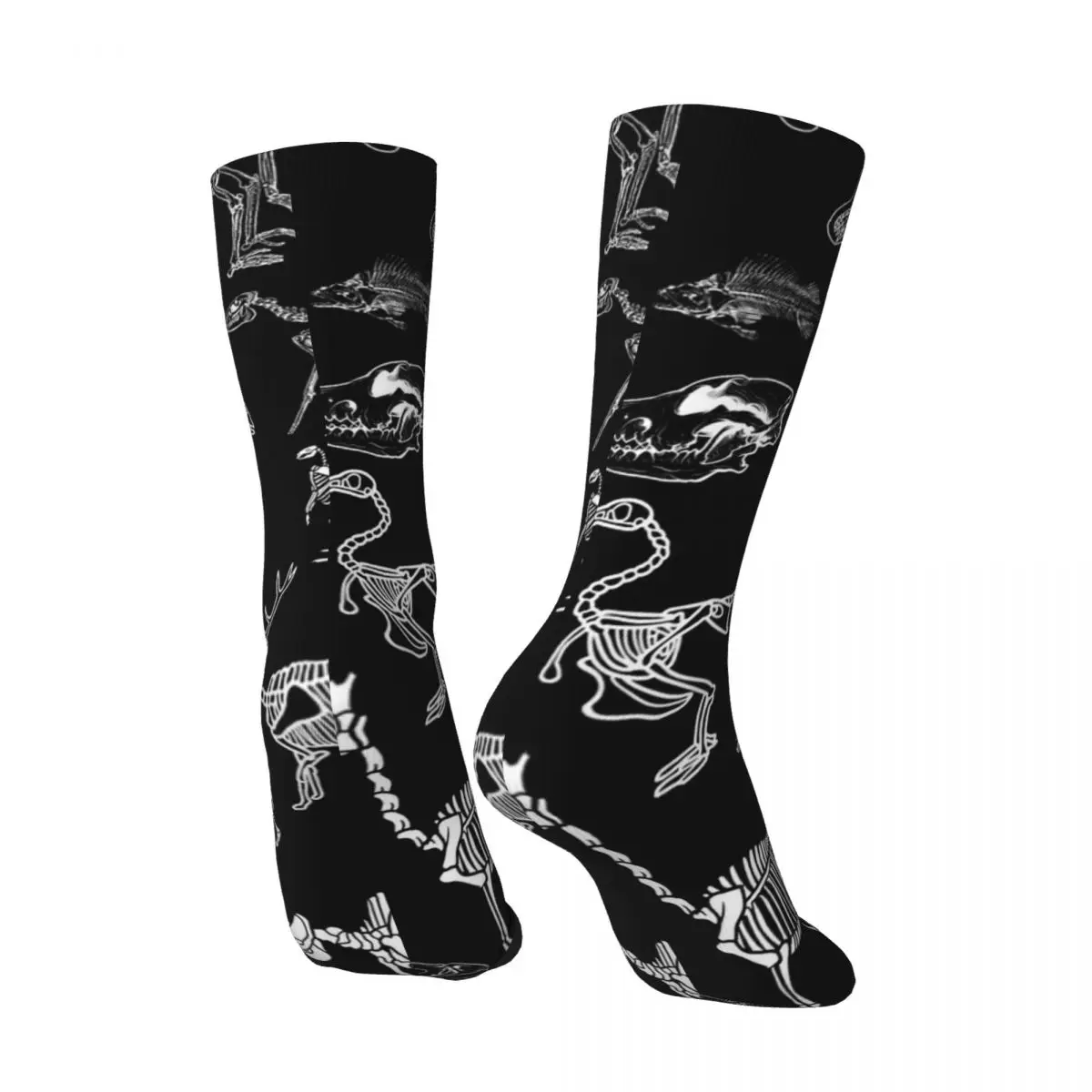 Scheletri animali fossili di dinosauro calze Design moda calzini invernali antibatterici calzini donna uomo sport all'aria aperta calzini morbidi