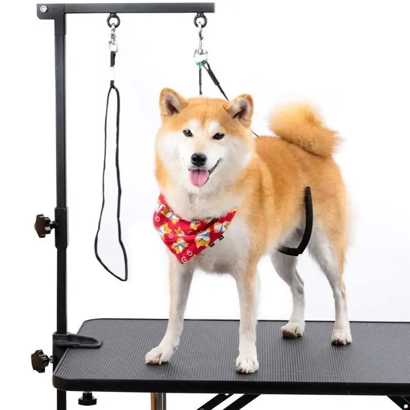Adjustable Grooming Noose Dog Restraint Loop Stainless Steel Wire Rope Grooming Tables Arm