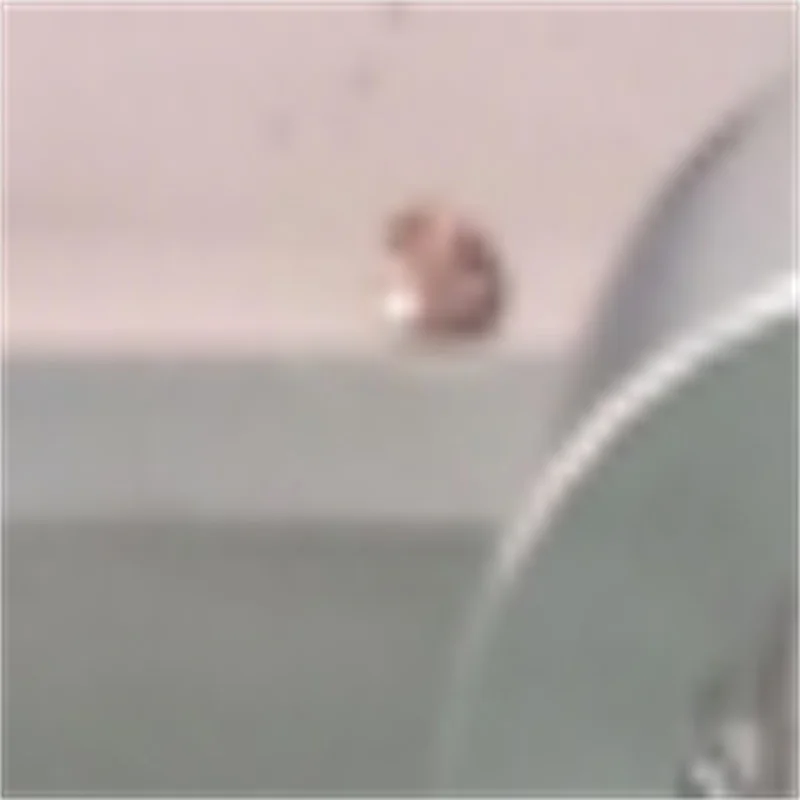 

High quality 3000W Energy-saving MSJ-60 Commercial Pasta Machine Automatic Pasta Machine Macaroni Pasta Machine For Sale