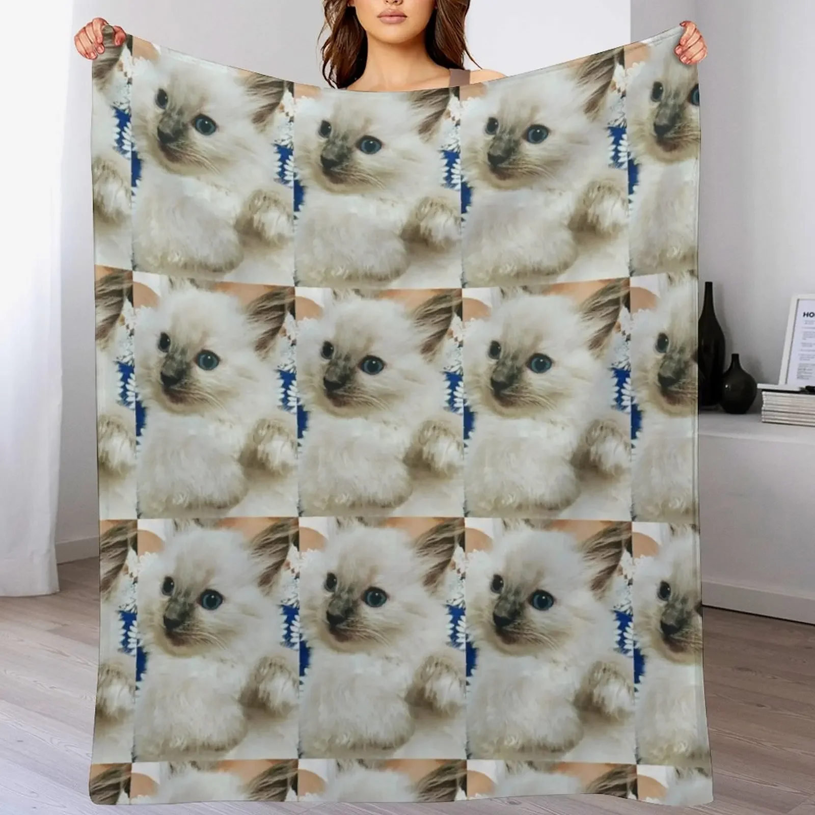 New Ragdoll kitten Throw Blanket Portable Lightweight Blanket for Travel Camping