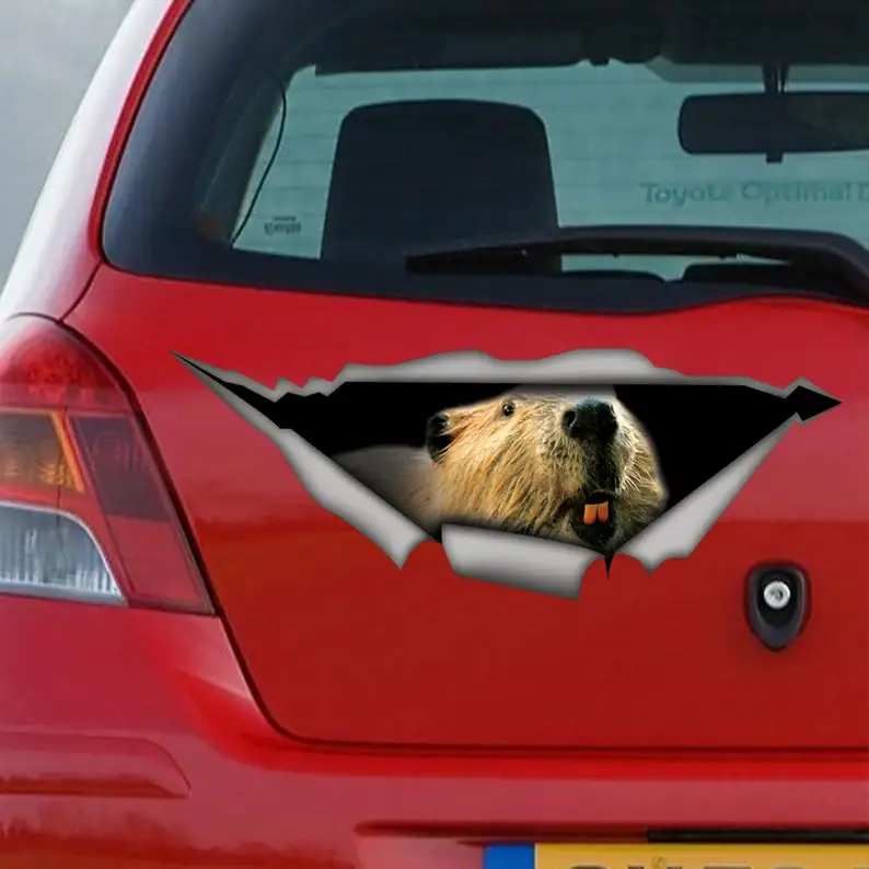 Sticker, Beaver car sticker , beaver decal, animal sticker