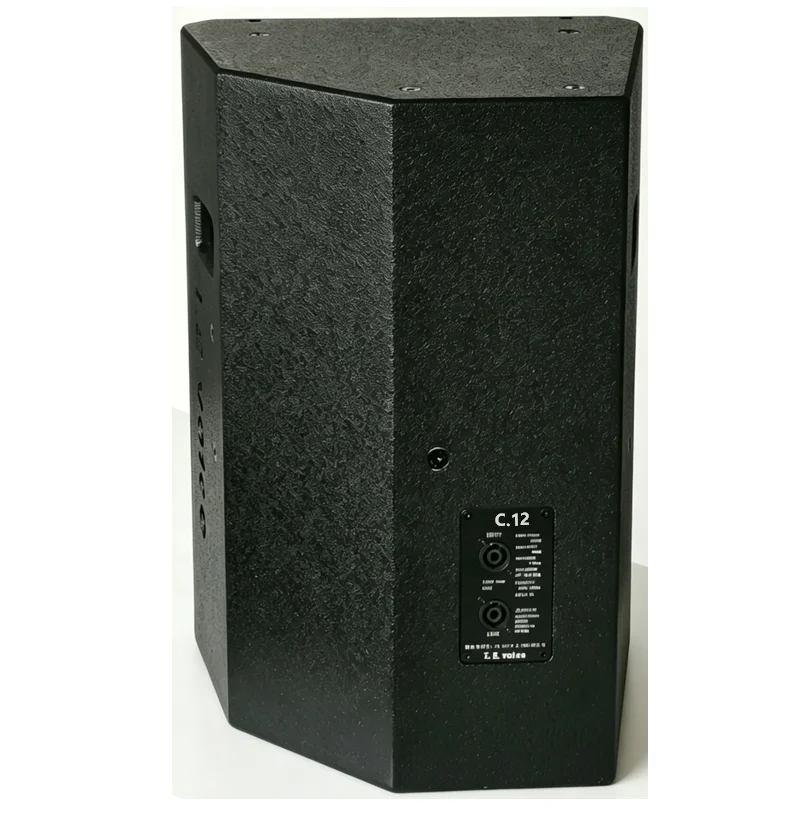 Professional Language Amplification 12-Inch Coaxial Point Sound Source Speaker C.12 Plywood Shell I.E.voice Hi-Res Audio 8.0 Ohm