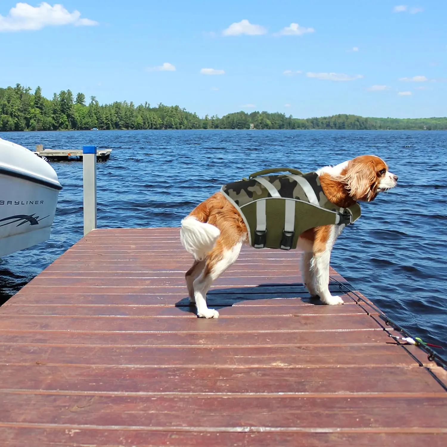 Dog Life Jacket with Reflective Stripes, Adjustable High Visibility Dog Life Vest Ripstop Dog Lifesaver Pet Life Preserver