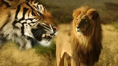 

2.2 Inch RC Crawler Wheels and Tires Set for 1/8 Scale Truck, Metal Beadlock Wheels with Off-Road Tires (4PCS)