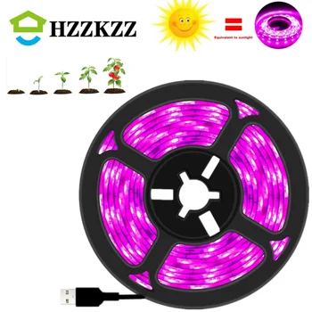 HZZKZZ-USB LED 식물 성장 조명, 풀 스펙트럼, DC 5V, 1-5m, 식물과 꽃 묘목 재배용 LED 스트립 식물 램프, 텐트 