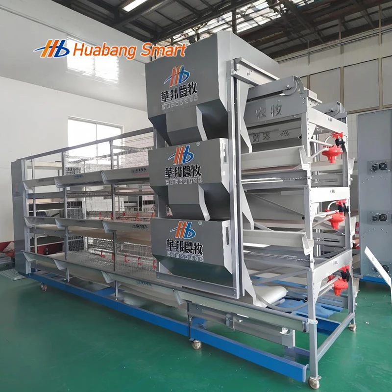 Export Global Markets Professional Installation Support Broiler Chicken Cage for Commercial Poultry Farm