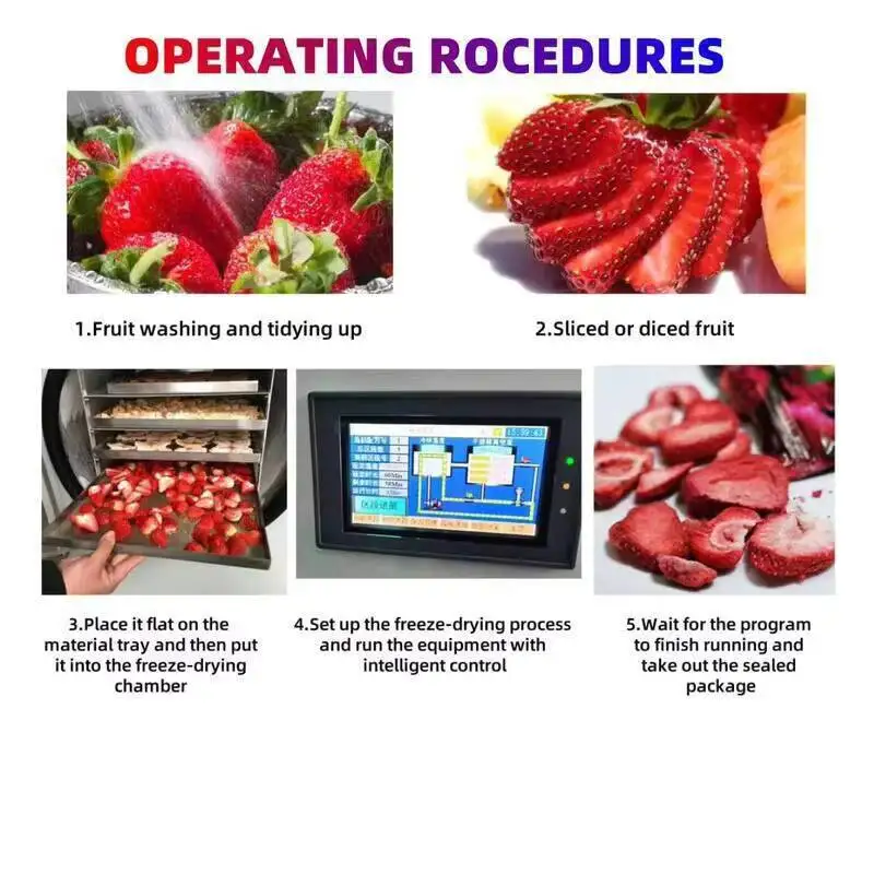 مجفف معدات تجفيف التجميل، مجفف الطعام المجفف بالفراغ