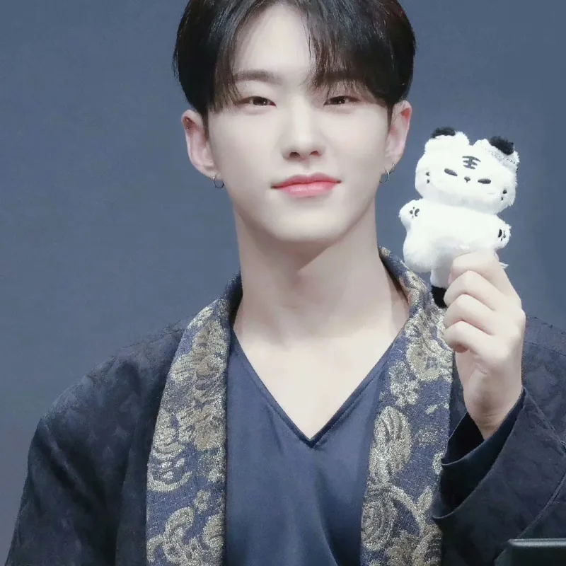 Cute Seventeen Hoshi Plush Pendant Cartoon Tiger Stuffed Doll Kawaii Cartoon Animals Keychain Pendant Fans Support Gift For Idol