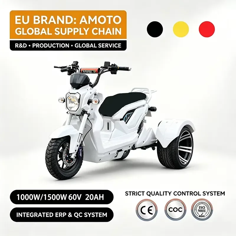 STROVAN Hot Sell Electric Sidecar Motorcycle with Open Frame 1000W/1500W 60V Removable Battery Large Double Seat Powerful