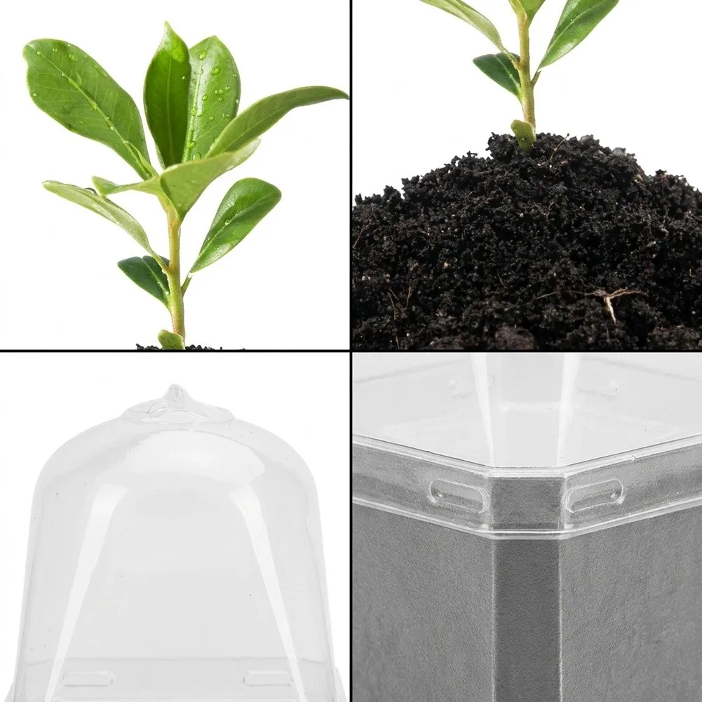 Compact Clear Nursery Pot with Humidity Dome for Urban Gardeners Propagating Herbs Succulents and Small Flower Starts