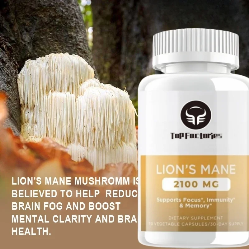 유기 두뇌 강화 퍼즐, 사자 갈기 버섯 캡슐, 흡수 강화제 및 면역 지지대 포함