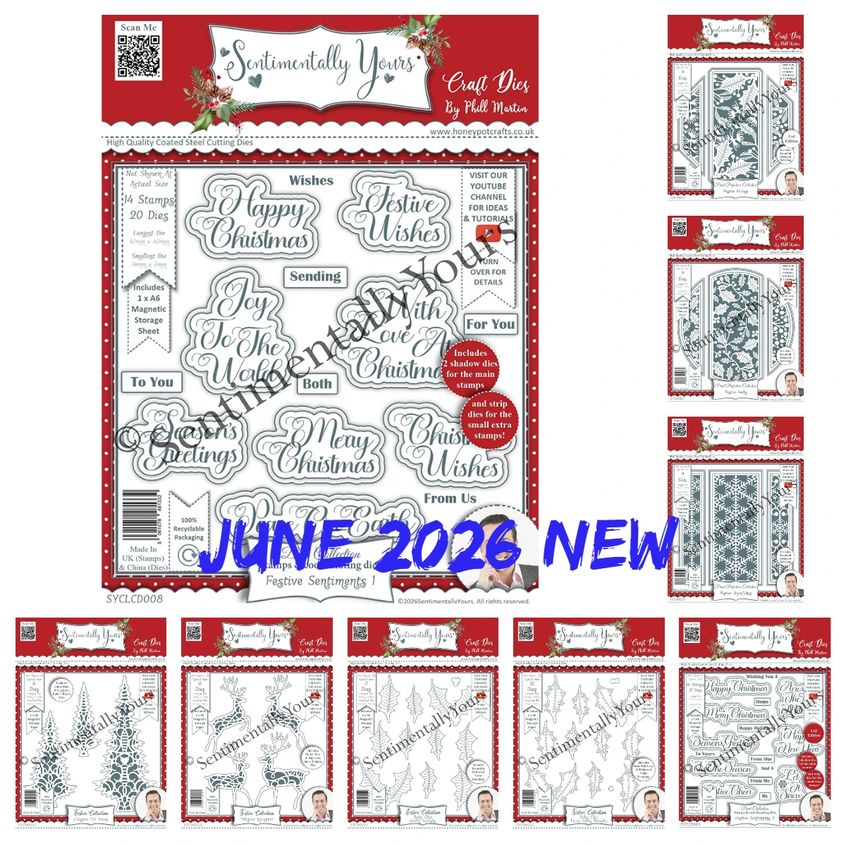 Duets Collection Festive Sentiments Metall-Stanzformen und Stempel für DIY Scrapbooking, Karten, Schablonen, Papierkarten, Stempelbögen