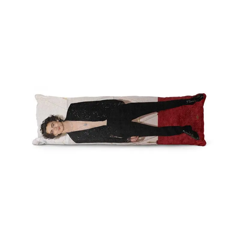 Aertemisi Timothee Chalamet Body Pillow Case Cover Anime Dakimakura Pillowcase