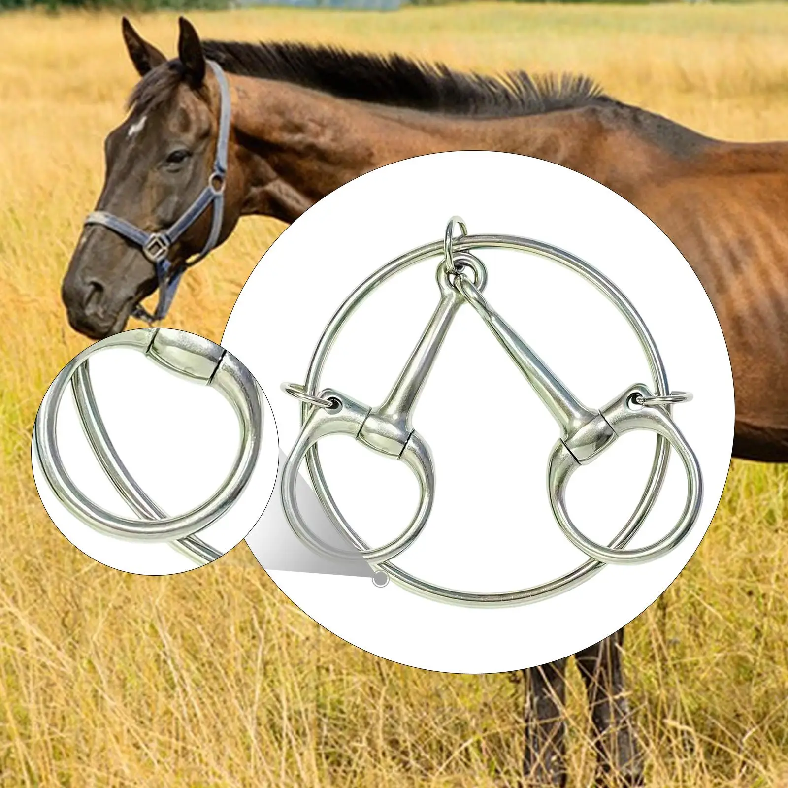 Stainless Steel Bits for Horses Equestrian Tools Smooth Snaffle Bit Horse Riding Material for Horse Gear