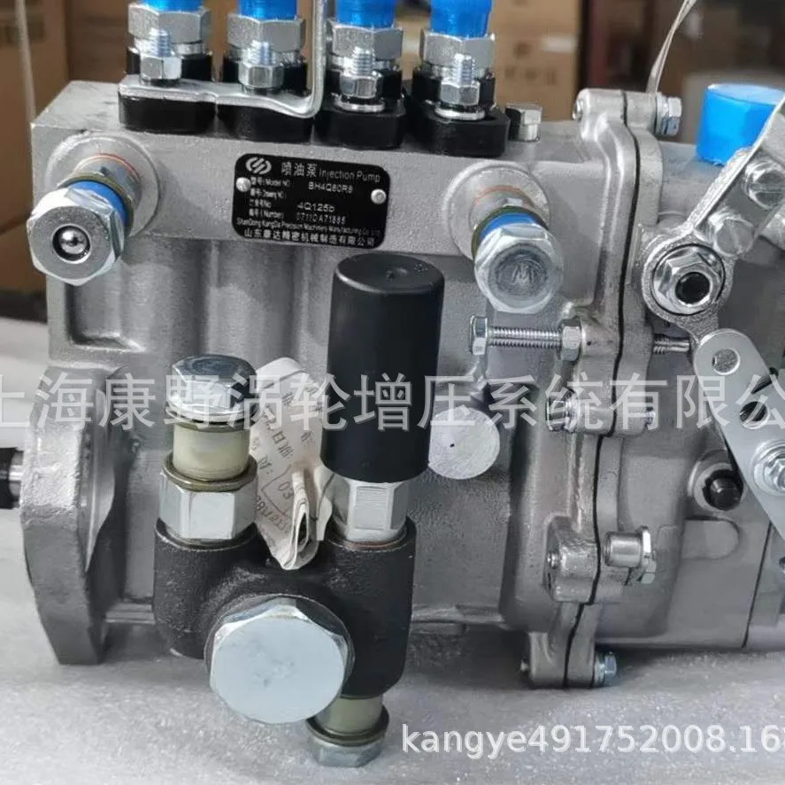 

Original Fuel Injection Pumps BH4Q80R8 4Q541 And 4QF390-1 And SHA110028 4Q613