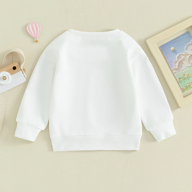 

Baby Boy Girl Birthday Outfit Crewneck Long Sleeve Sweatshirt Pullover T-Shirt Top Fall Winter Clothes