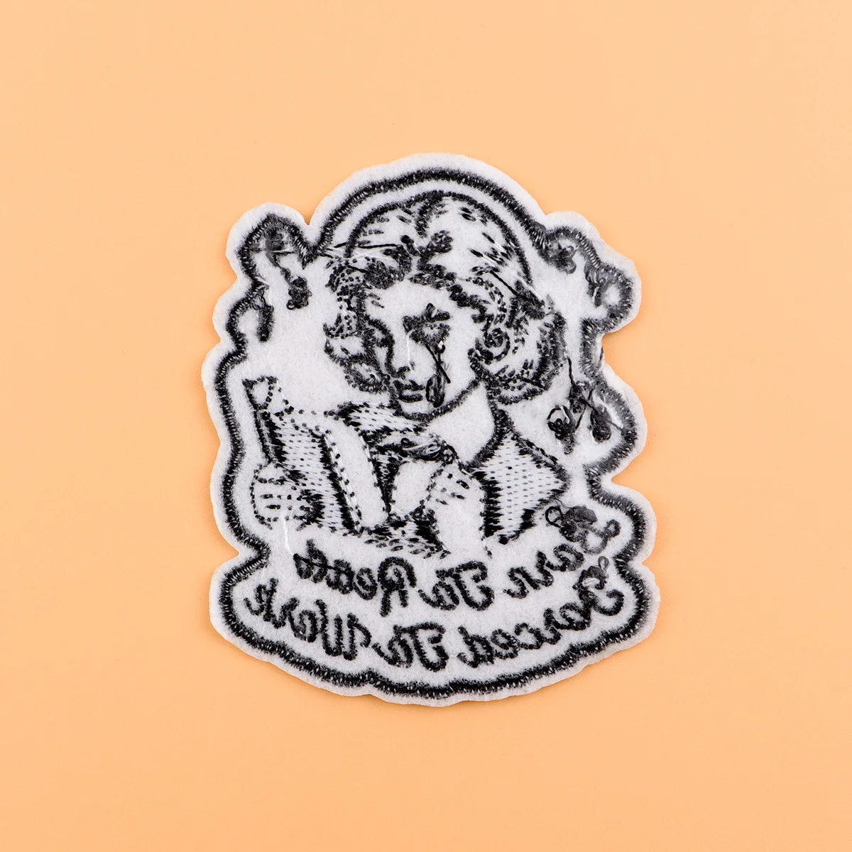 Рисунок 4 - Милые нашивки с изображением енота на одежде