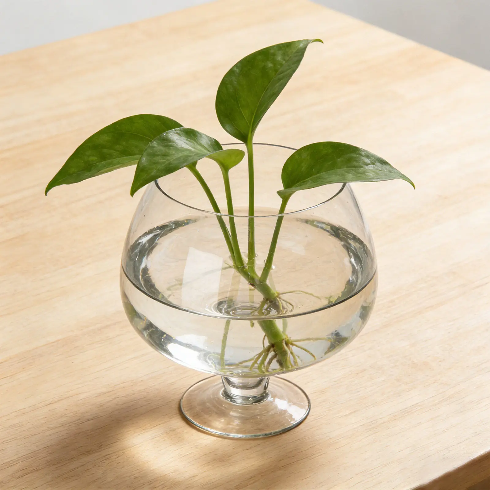 

Delicate Transparent Fish Tank Aquarium Desktop Multi-Function Goldfish Tank Clear Glass Betta Decoration Fish Supplies