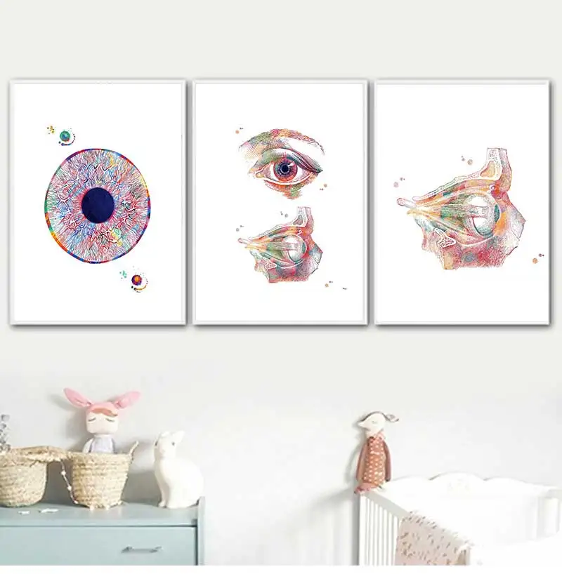 Modern Human Eye Anatomy Iris and Pupil Structure Muscle Medical Poster Canvas Painting Wall Art Pictures Home Office Decor