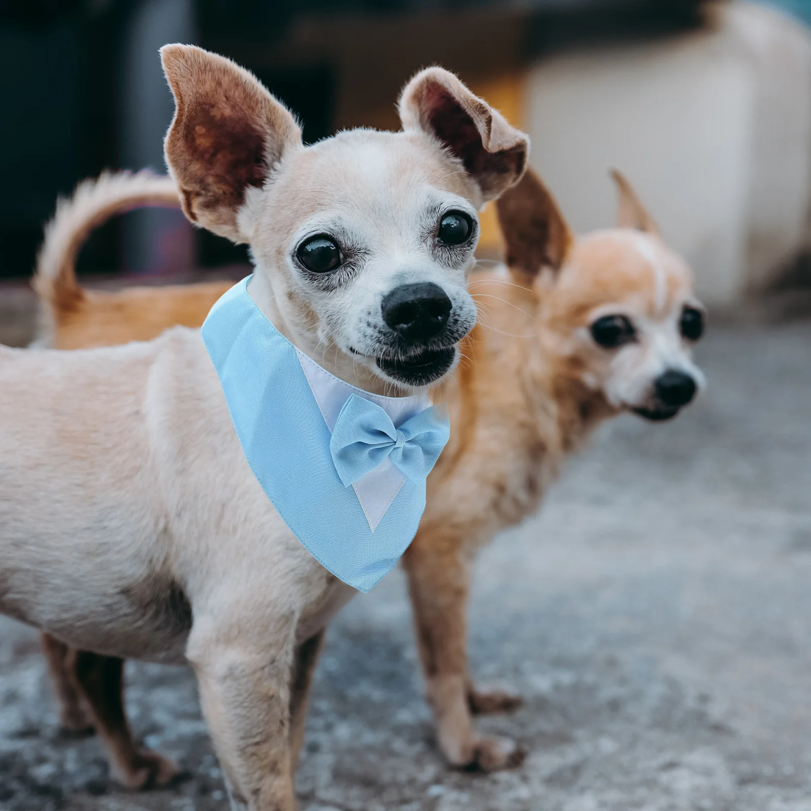 

Dog Triangle Scarf Pet Neck Decoration for Fashionable Bandana Collar Cool Neckwear Puppy Suit Decorative Party Accessory