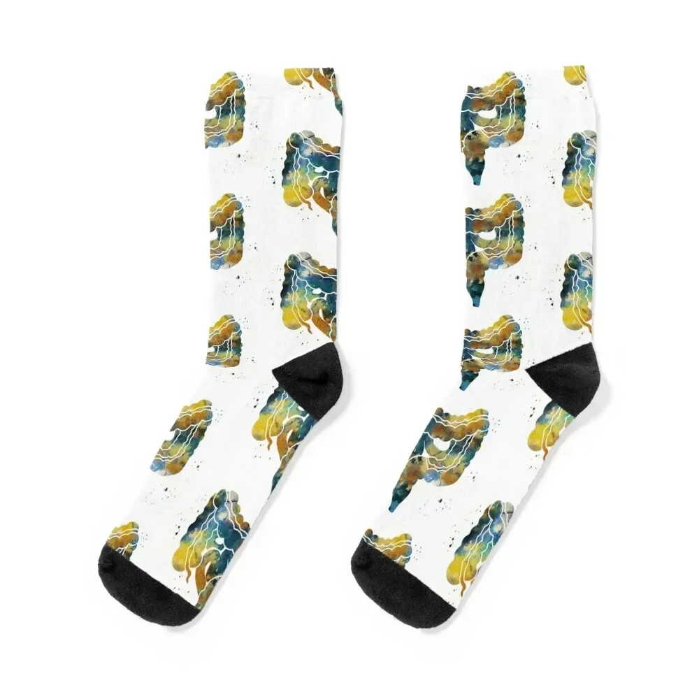 

Large and Small Intestines Anatomy Socks Crossfit new year christmas gifts sports stockings Mens Socks Women's