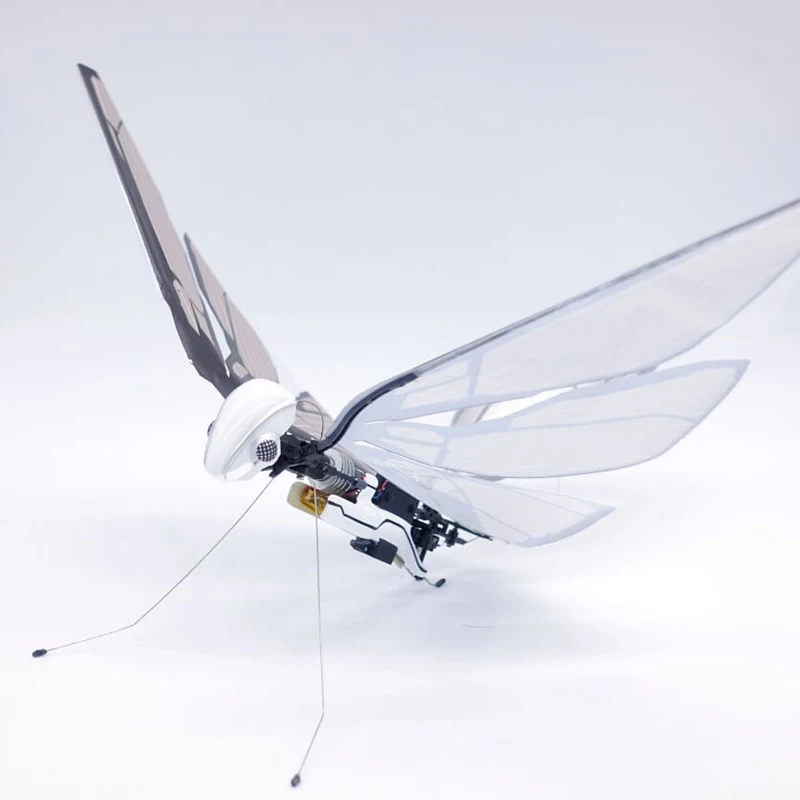 Bionic bird intelligent flying insect giocattolo telecomandato elettrico piccolo veicolo aereo senza equipaggio