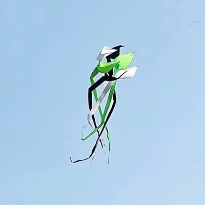 NONE Kostenloser Versand Neue Drachen Winds äcke fliegende Tintenfisch Drachen zeigen aufblasbare Drachen Fabrik Riese profession elle Drachen Tops Spiel zeug Sport 4