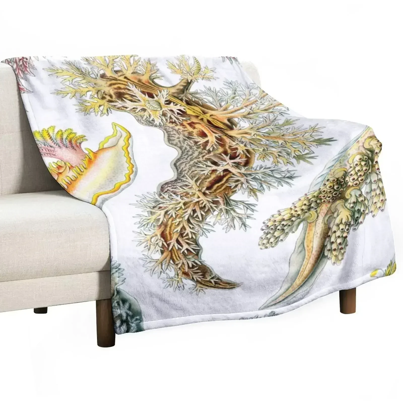 

Haeckel Nudibranchia Drawing Throw Blanket Extra Large Throw Thermals For Travel anime Large Blankets