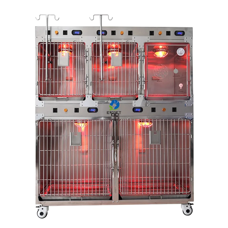 

Vet Clinic Icu Cage Dog Kennel Strong Stainless Steel Diagnosis & Injection Automatic Charged