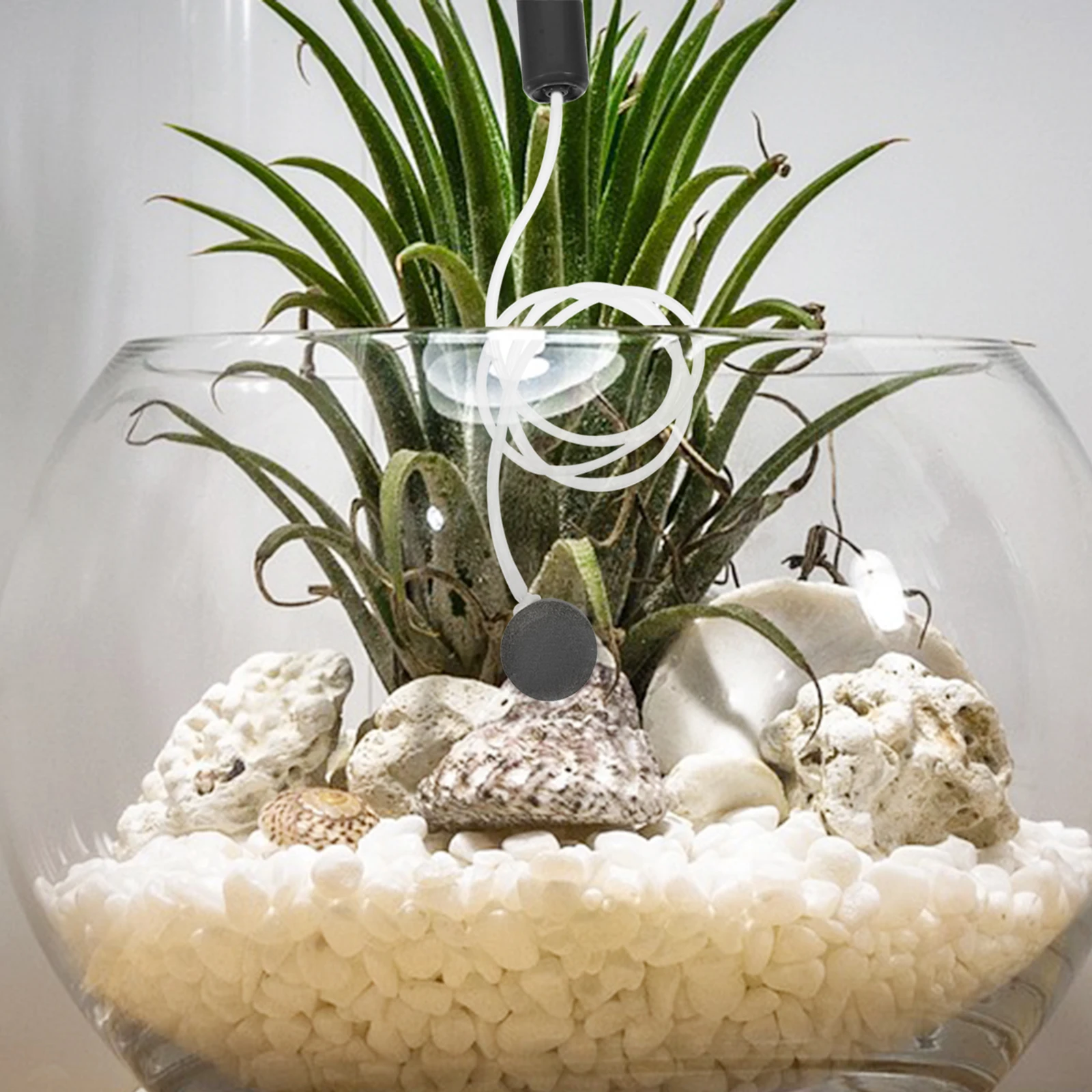 

USB Oxygen Pump for Aquarium Small Fish Tank Accessories Quiet Aerator Pump Oxygenation Pet Supplies Beginner Friendly Portable