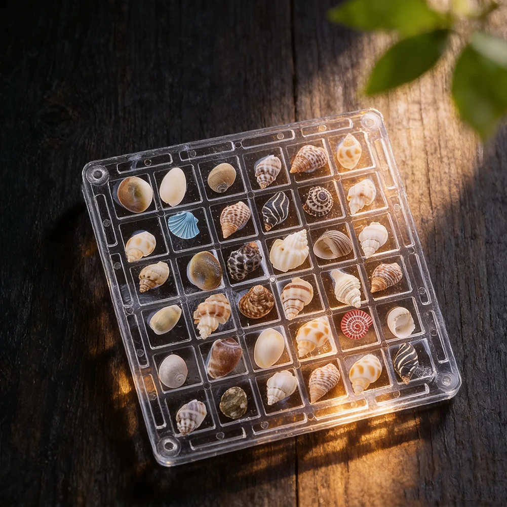 

1 Box of About 30PCS Natural Shell Conch Float Materials for Home Decoration Ornaments and Gifts Fish Tank Decorations