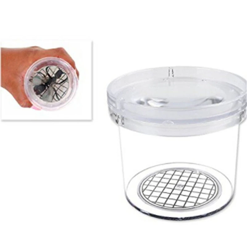 Portable Children Crawlers Animal Spider Insect Box Magnifying Glass Insect Cage Bug Jar For Science Nature Exploration