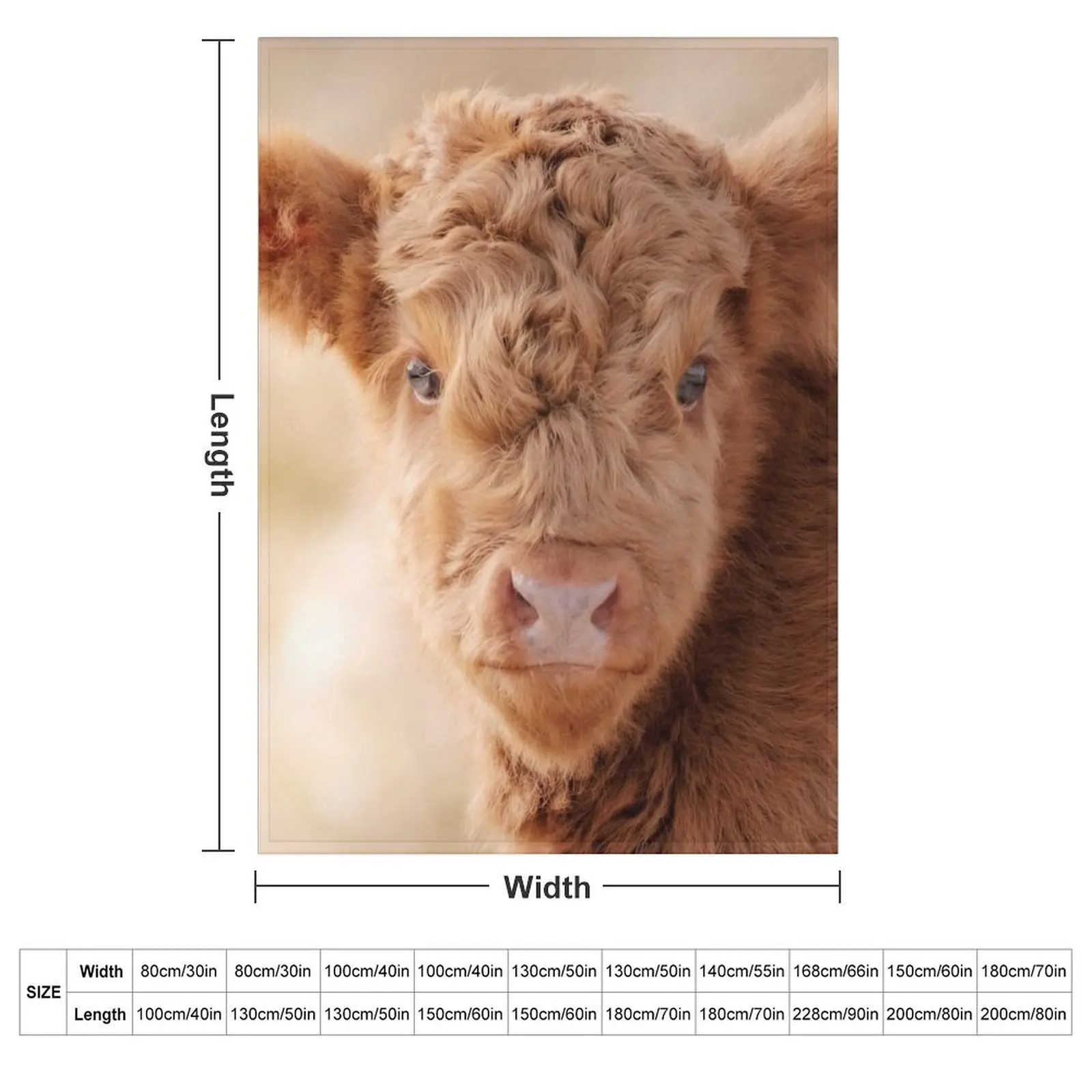 Baby Scottish Highlander Photo Animal Photography Scottish Highland Calf Throw Blanket