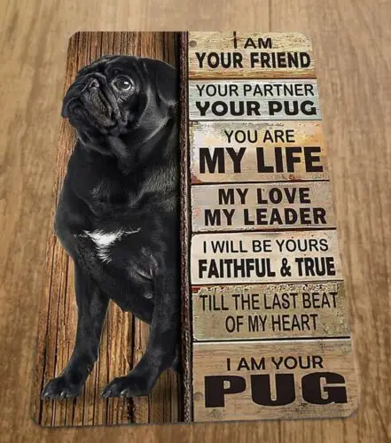 I am Your Pug Dog Friend 8x12 Metal Wall Animal Sign