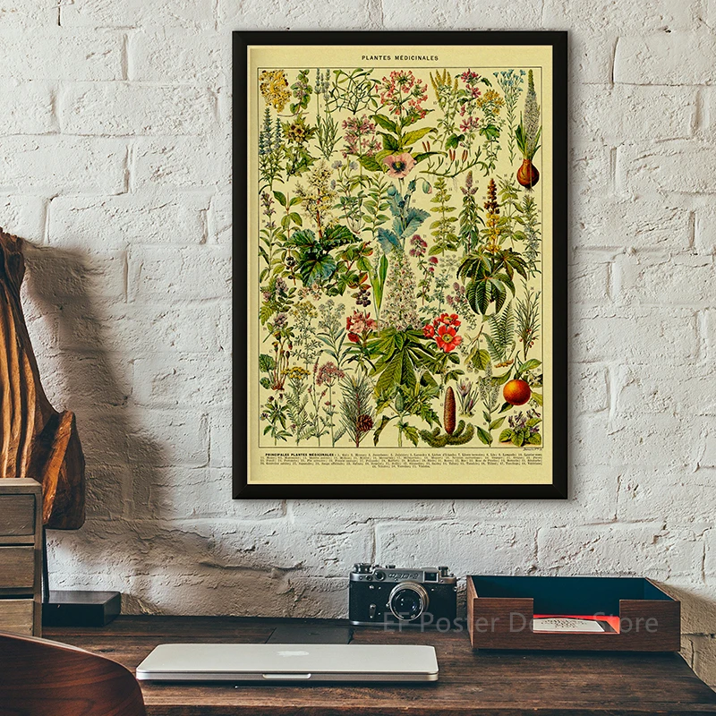 Antique Botanical Illustration Poster Bird Fruit Plants Flowers Prints Vintage Home Room Kitchen Garden Decor Art Wall Painting