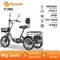CYSUM T1 Pro Adult Electric Tricycle 250W Electric Cargo Tricycle 48V22AH Battery E-Cargo Bike 16 Inch Tire Bicycle ebike