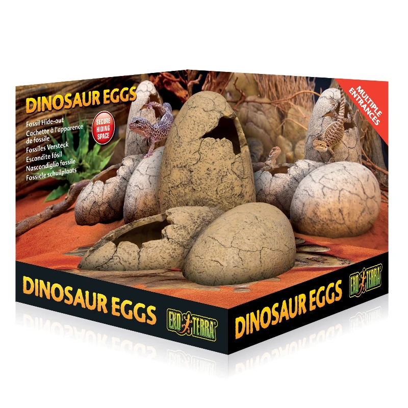 ‌ مخبأ بيضة الديناصور للزواحف، موئل الاختراق الإبداعي بتصميم المتاهة، التنين الملتحي وتررم الفهد أبو بريص