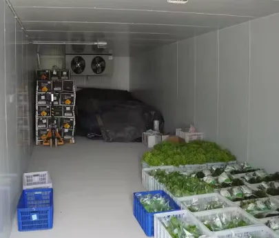 Contenitore per congelatore per celle frigorifere per pollo, contenitore per congelamento, stanza per attrezzature refrigerata