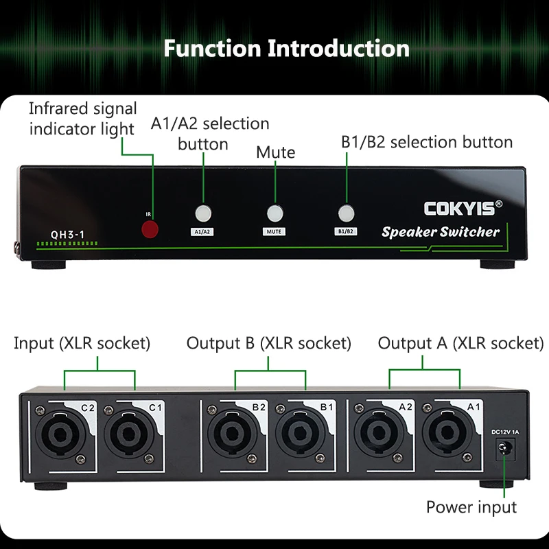 High Power Amplifier Speaker Switcher 1-in-2 or 2-in 1-Out Remote Control + Buttons Dual Operation Mode XLR Audio Switcher