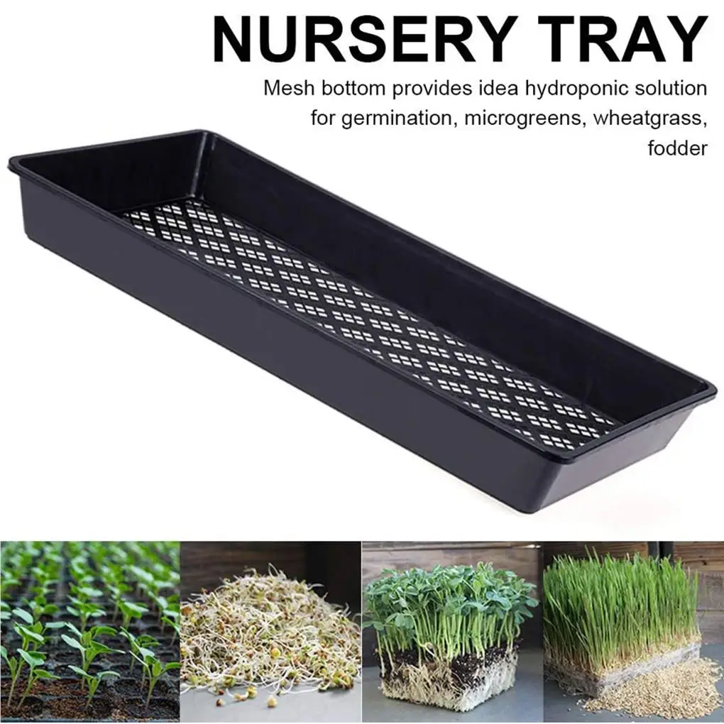 2pcs Seedling Tray Lightweight Seed Starters Mesh Bottom Seedlings Box