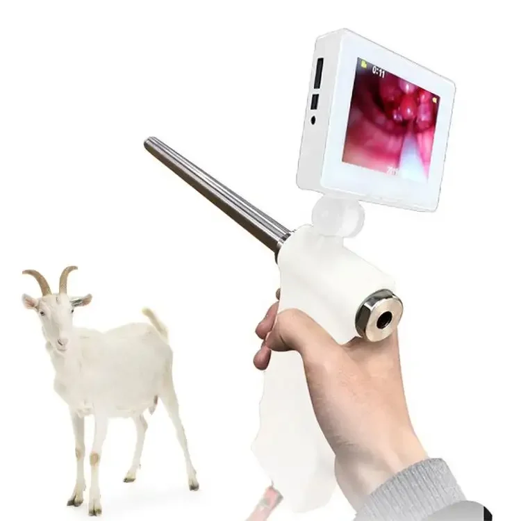 

Custom Veterinary Portable Handheld Visual Goat Sheep Insemination Gun Endoscopic Sperm Gun Universal Artificial Sheep Inseminat