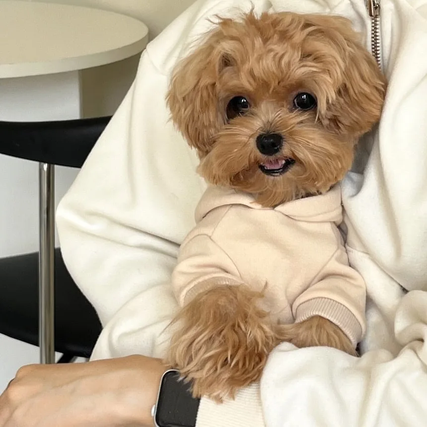 الخريف والشتاء الحيوانات الأليفة بلوزات الملابس الدافئة للكلاب تيدي إلكتروني طباعة هوديس Bichon فريز الصوف اثنين أرجل الملابس