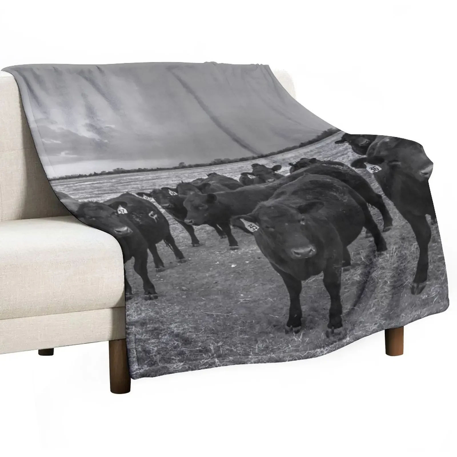 Hanging Out - Angus Cows Gather as Storm Brews in Kansas Throw Blanket Soft Soft Beds Polar Flannel Fabric Blankets