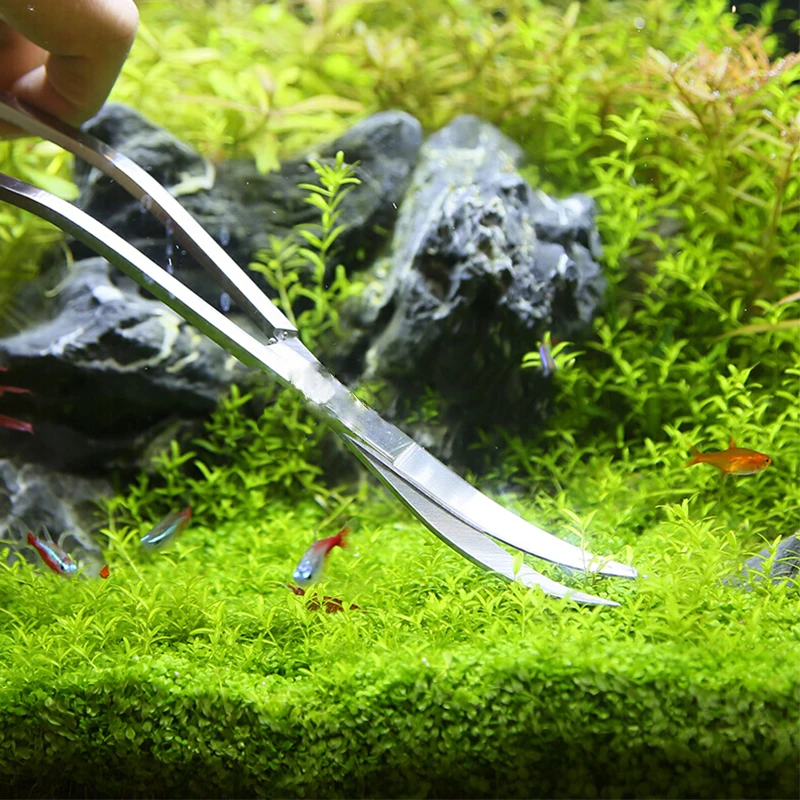 Ensemble d'outils d'aquarium en acier inoxydable, ciseaux à vagues, pincettes pour plantes, livres enge, outils pour poissons, pelles précieuses, accessoires d'aquarium